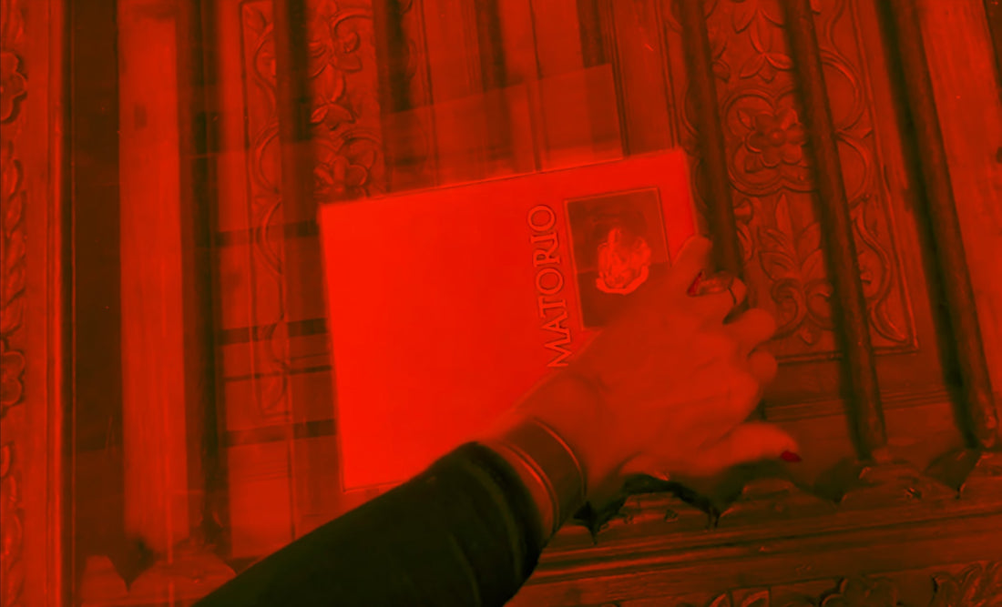 Amatorio, un poemario de Alina González