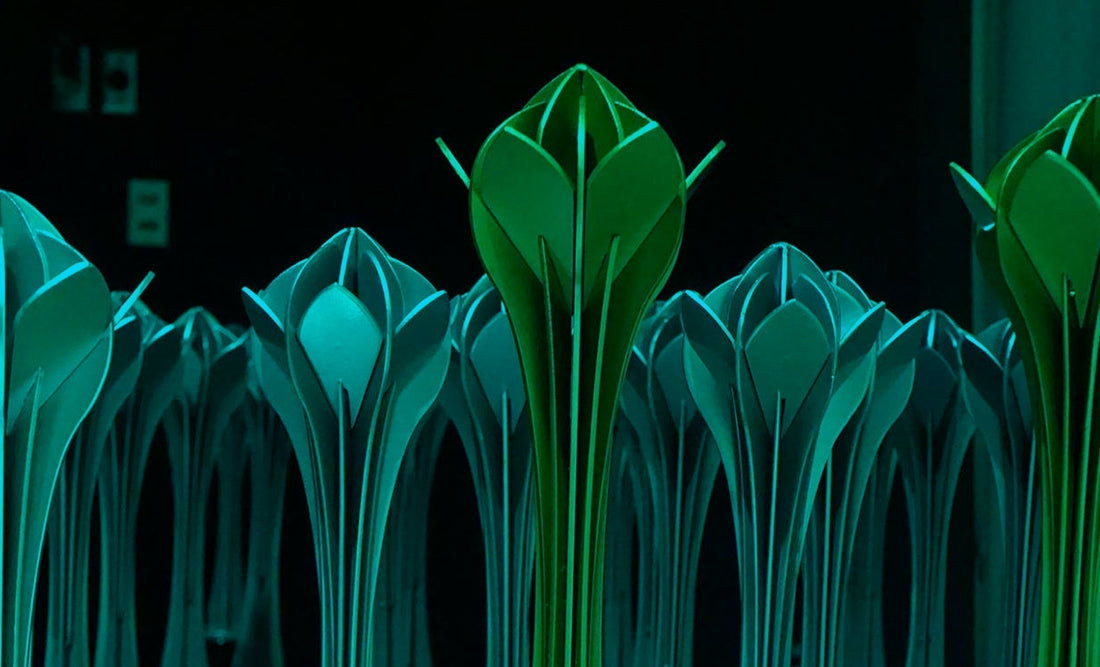 Mi formulario vencido: